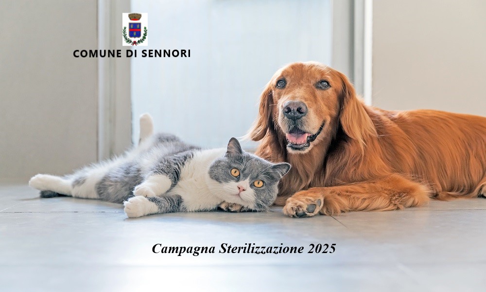 Campagna di sterilizzazione cani e gatti 2025 - AVVISO per richiesta contributi